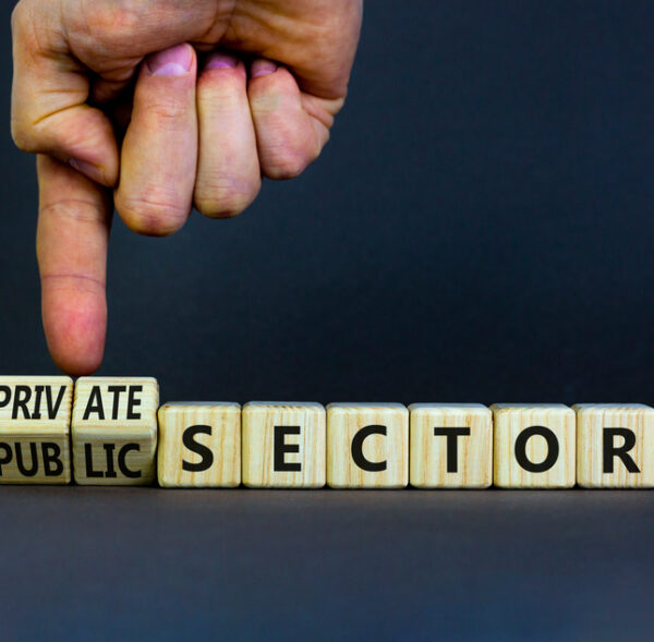 Private,Or,Public,Sector,Symbol.,Businessman,Turns,Cubes,And,Changes